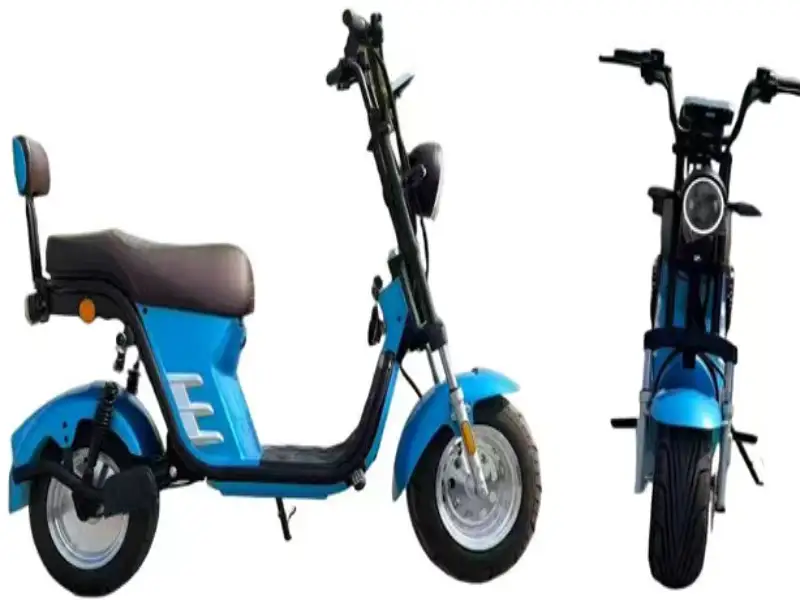Citycoco elektrische scooter